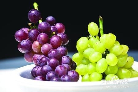 如何分辨提子和葡萄