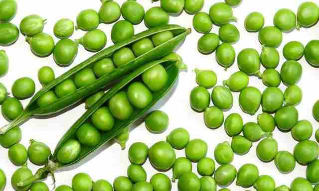 多吃豆可能减轻过敏气喘