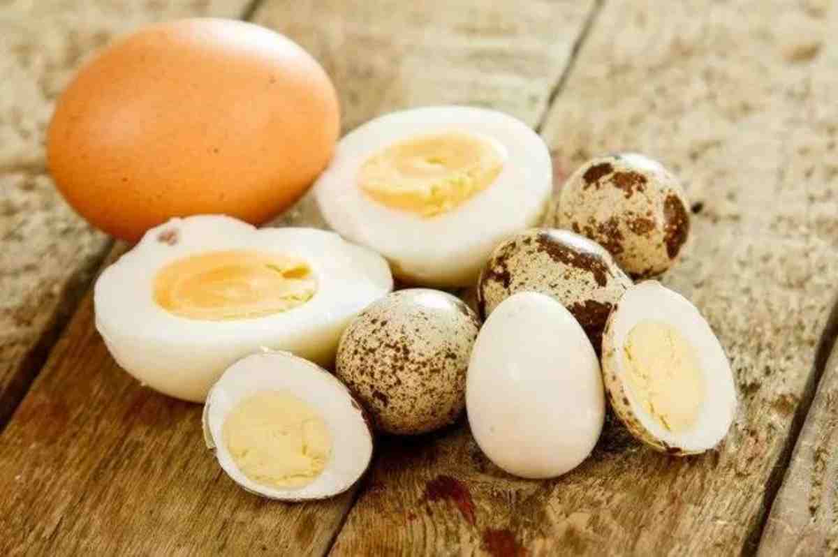 鹌鹑蛋和鸡蛋的营养区别