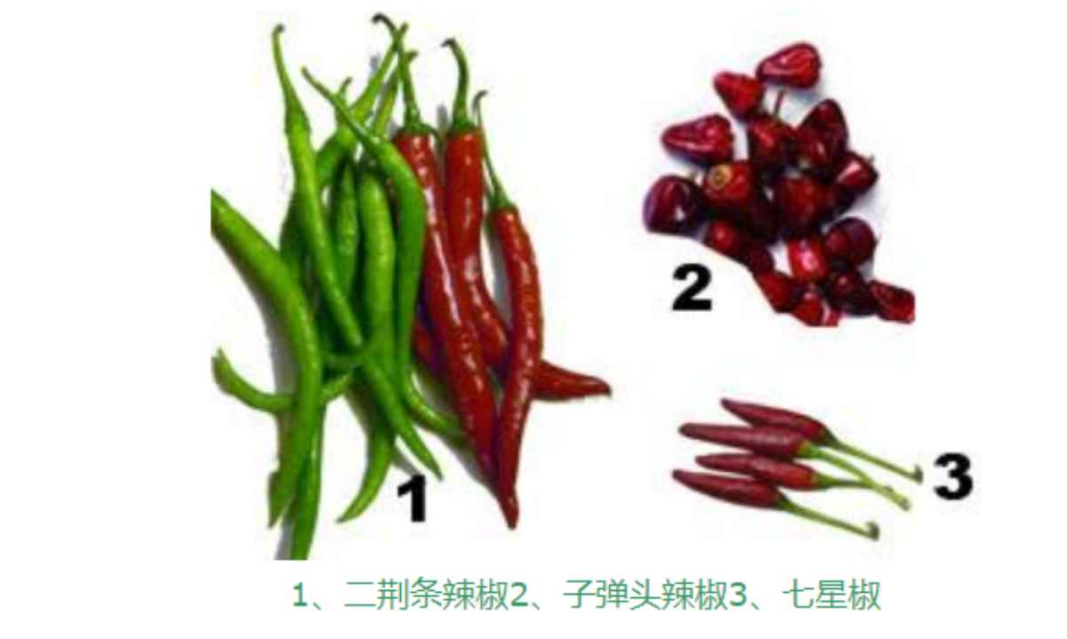 川菜中常用的几种辣椒介绍