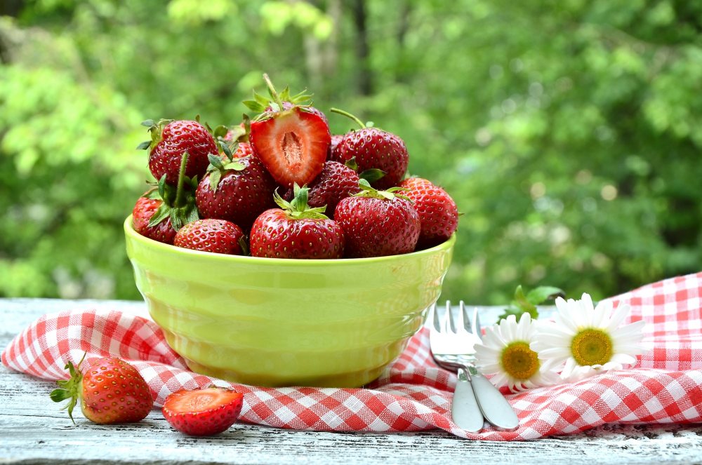 洋甘菊 碗 草莓 水果图片