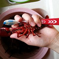 麻辣小龙虾的做法图解2