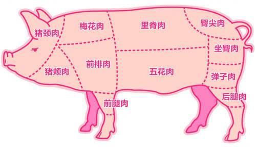 详解10种不同部位猪肉的做法技巧