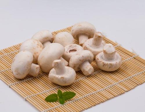 蘑菇怎么清洗怎么做？