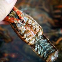 尘埃里的味蕾---蒜香小龙虾的做法图解6