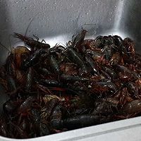 十三香小龙虾的做法图解2