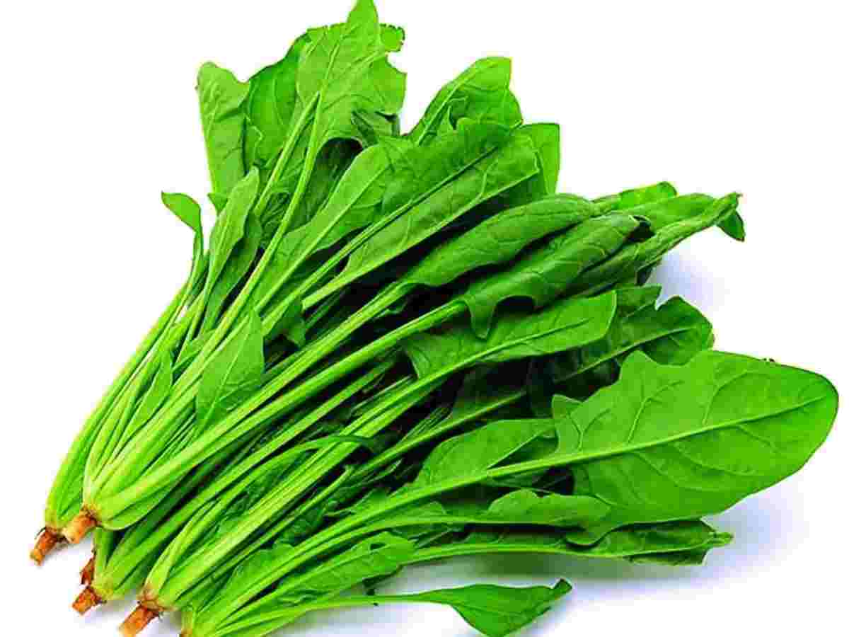 菠菜营养丰富 但不能这样吃怎么做？