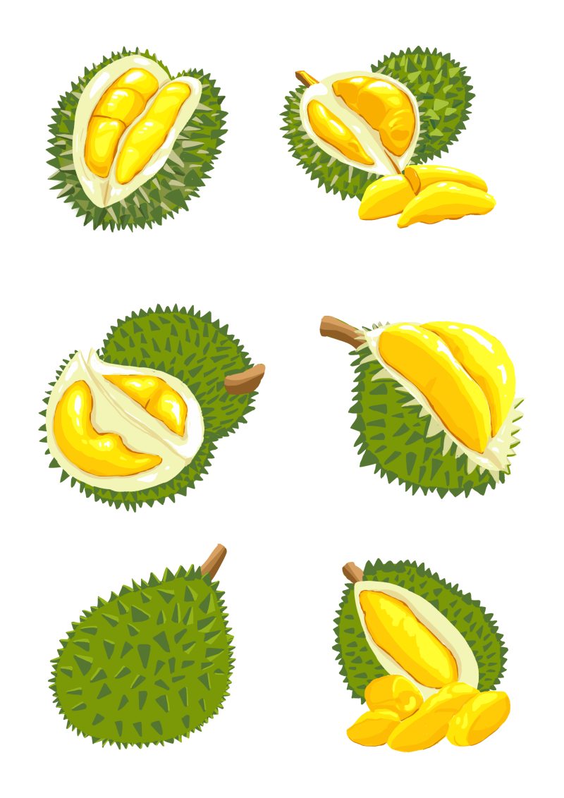 一组手绘榴莲合集免抠元素
