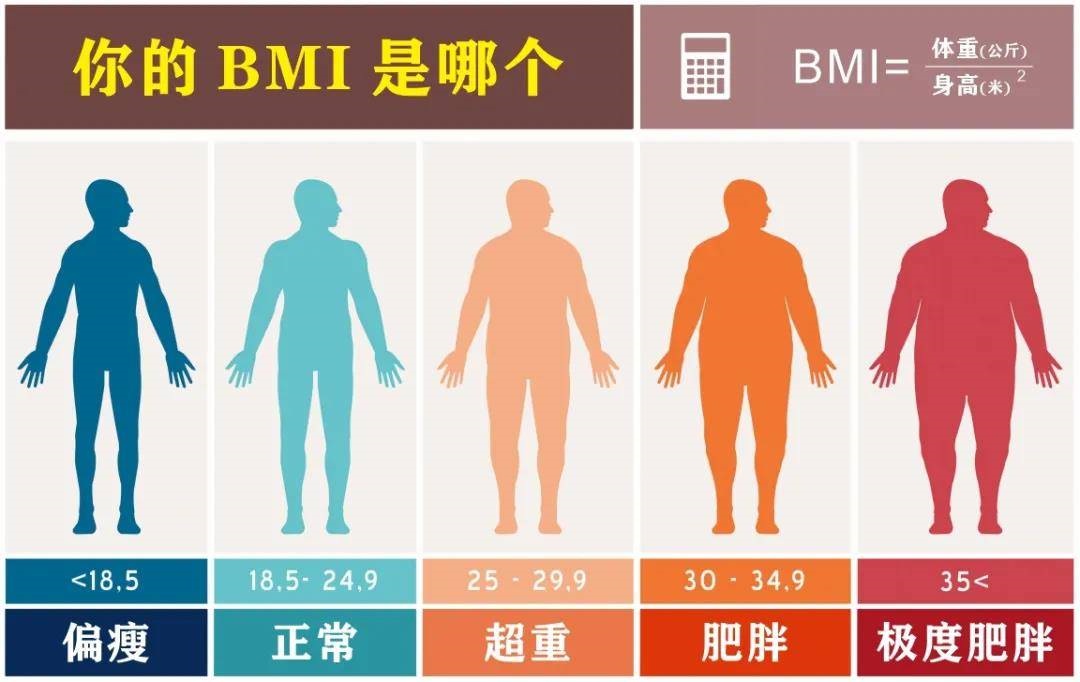 成年人BMI自测