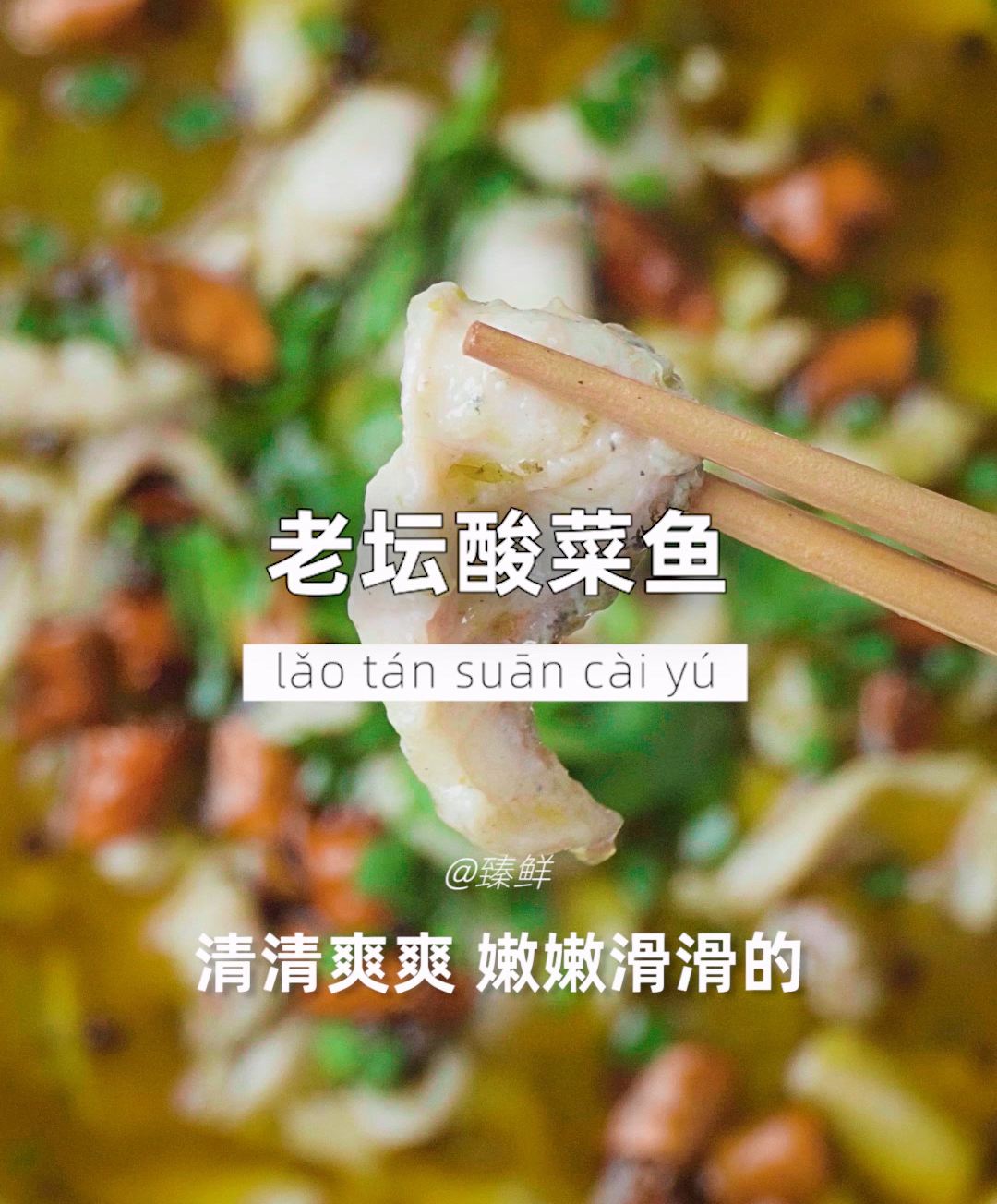 老坛酸菜鱼
