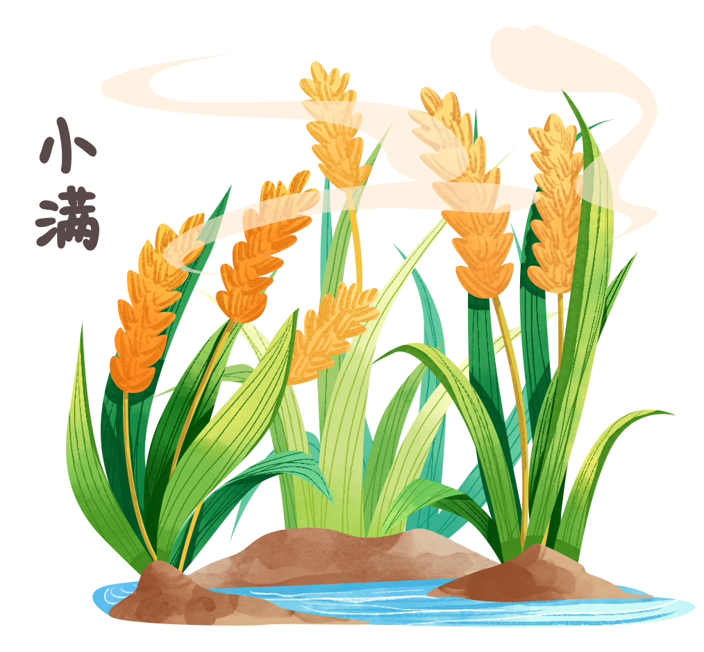 小满