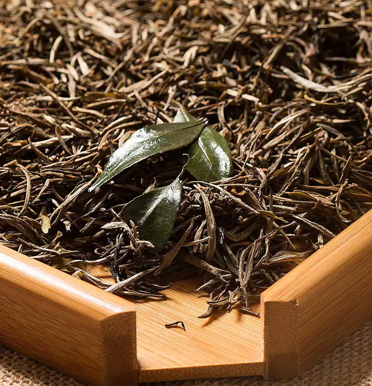 广东潮州工夫茶以哪种茶为主要茶品？绿茶还是乌龙茶？