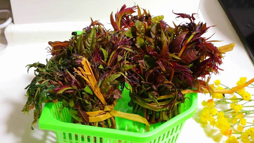 香椿和臭椿的区别有哪些 香椿和臭椿的区别有哪些