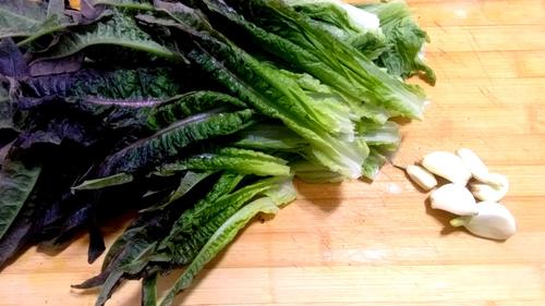 油麦菜是不是莴笋叶 油麦菜是不是莴笋叶