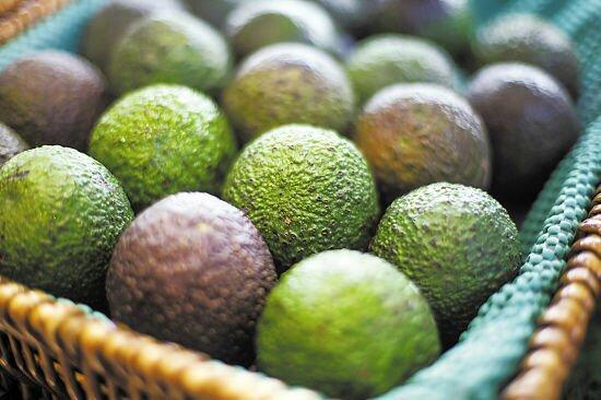 超好喝的减脂牛油果奶昔