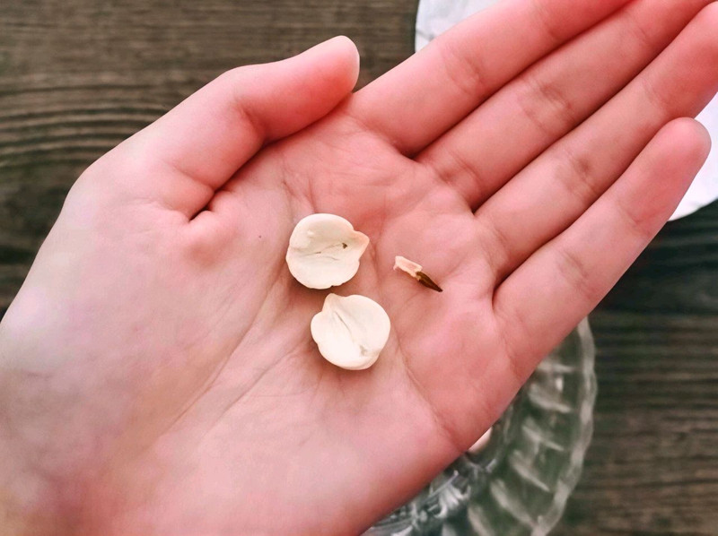 步骤4