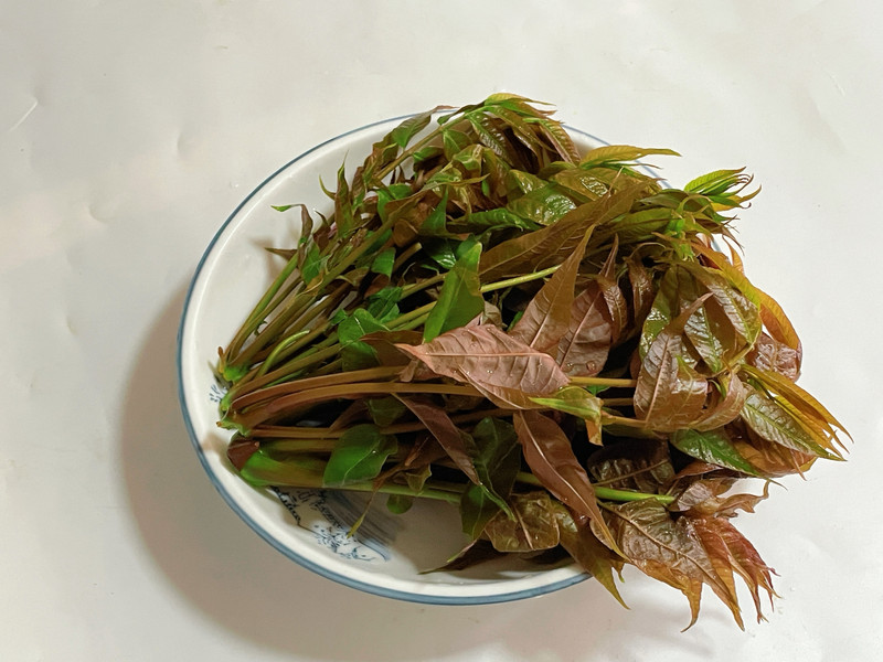 步骤1