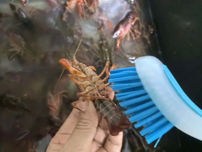 步骤1