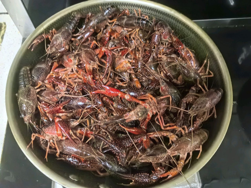 步骤3