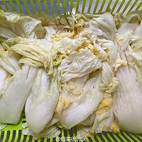 韩国泡菜的做法图解5