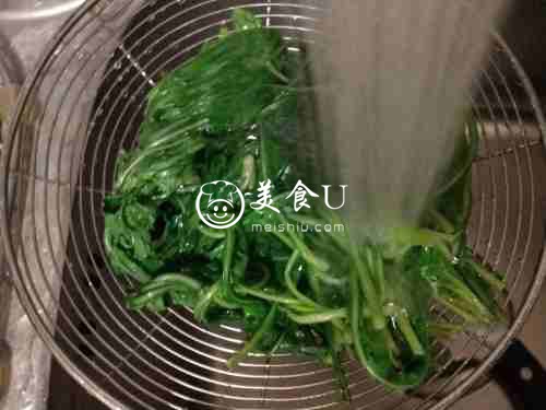 凉拌野苦菜