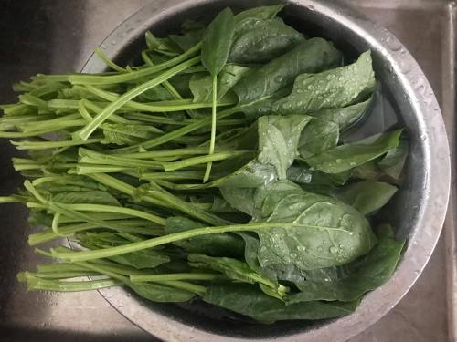 秋季养生菠菜鸡蛋素饺子