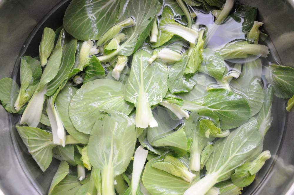 菌汤面条 看得见的香菇 尝得到的鲜美 这才是真正的菌汤