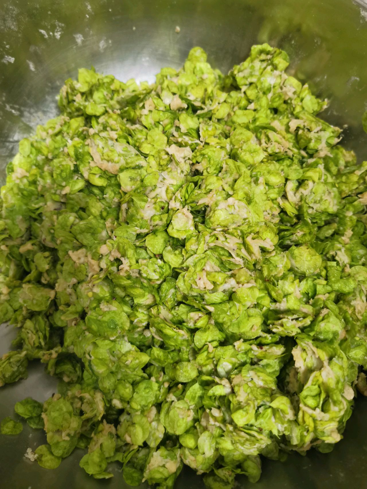 春天的榆钱窝窝
