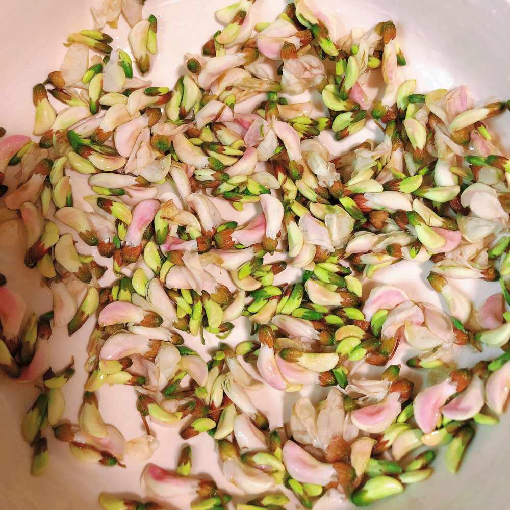 春日限定-槐花煎蛋