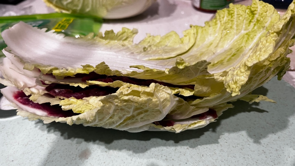 冬日白菜牛肉煲