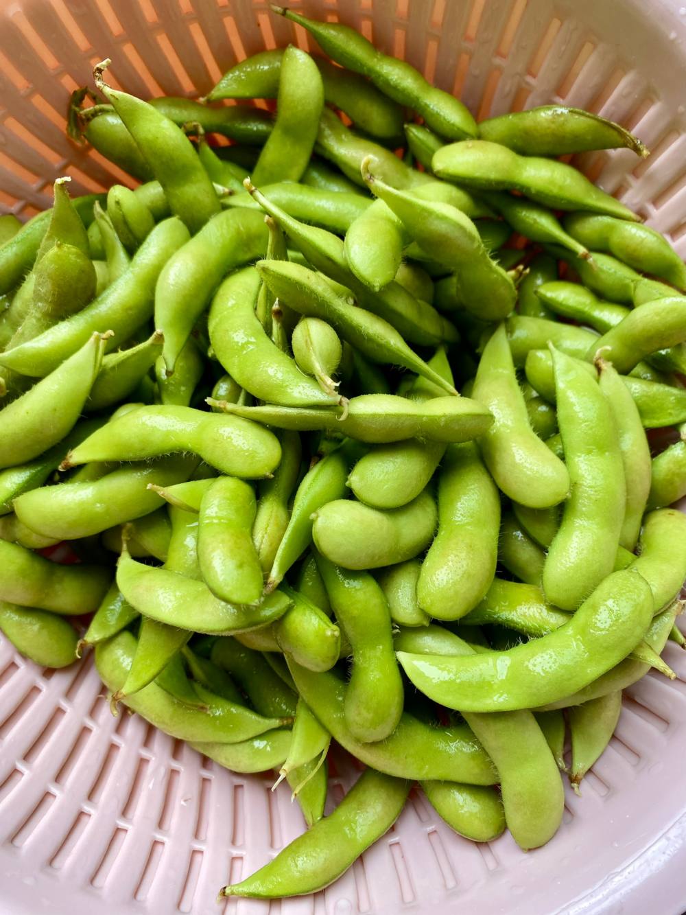 盐水毛豆