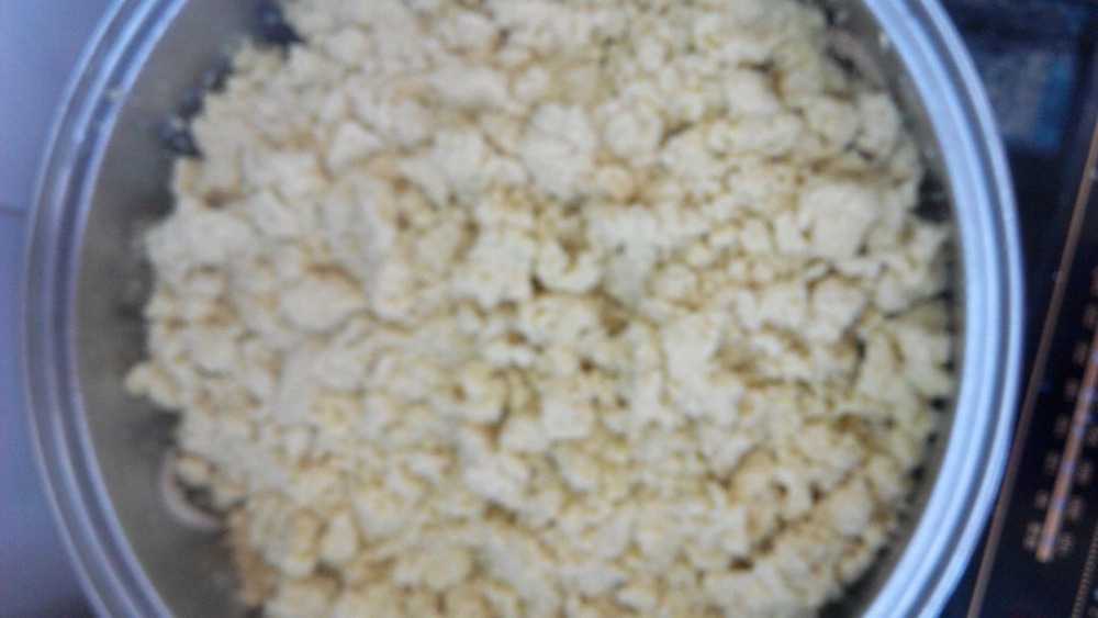 河北特色(枣糕)