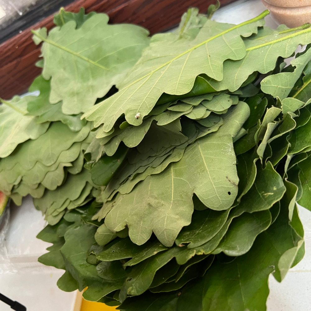 辽宁特色美食桲椤叶饼