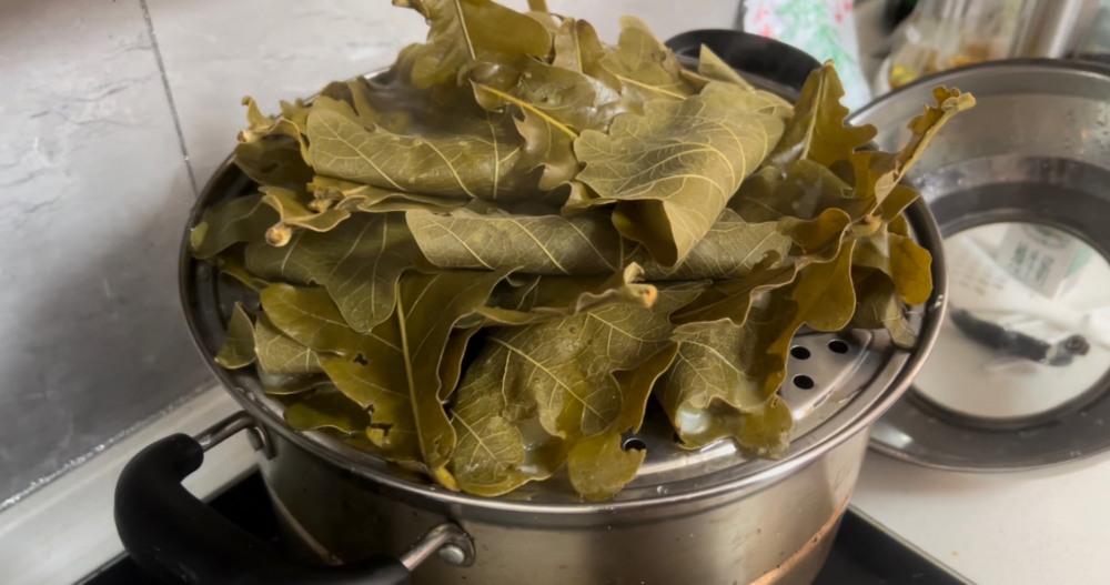 辽宁特色美食桲椤叶饼