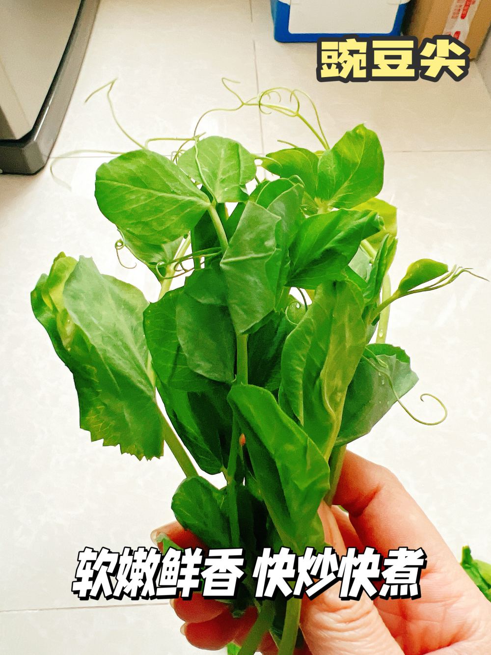 豌豆尖鸡茸汤