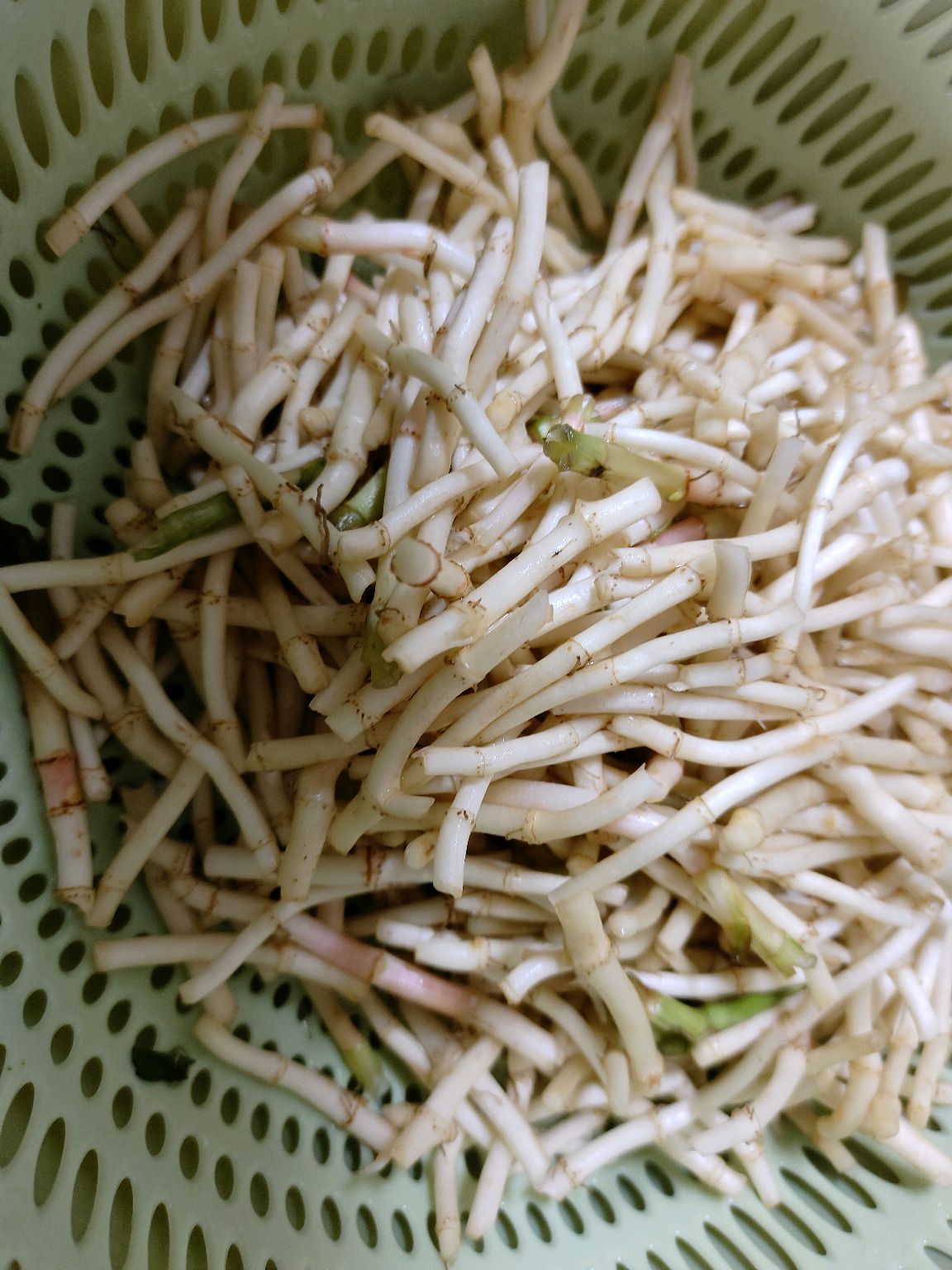 鱼腥草拌蒜薹
