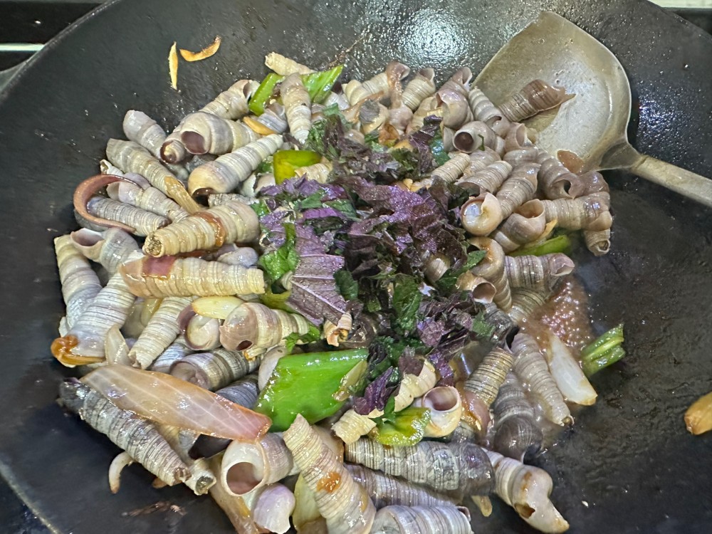 酱爆钉螺