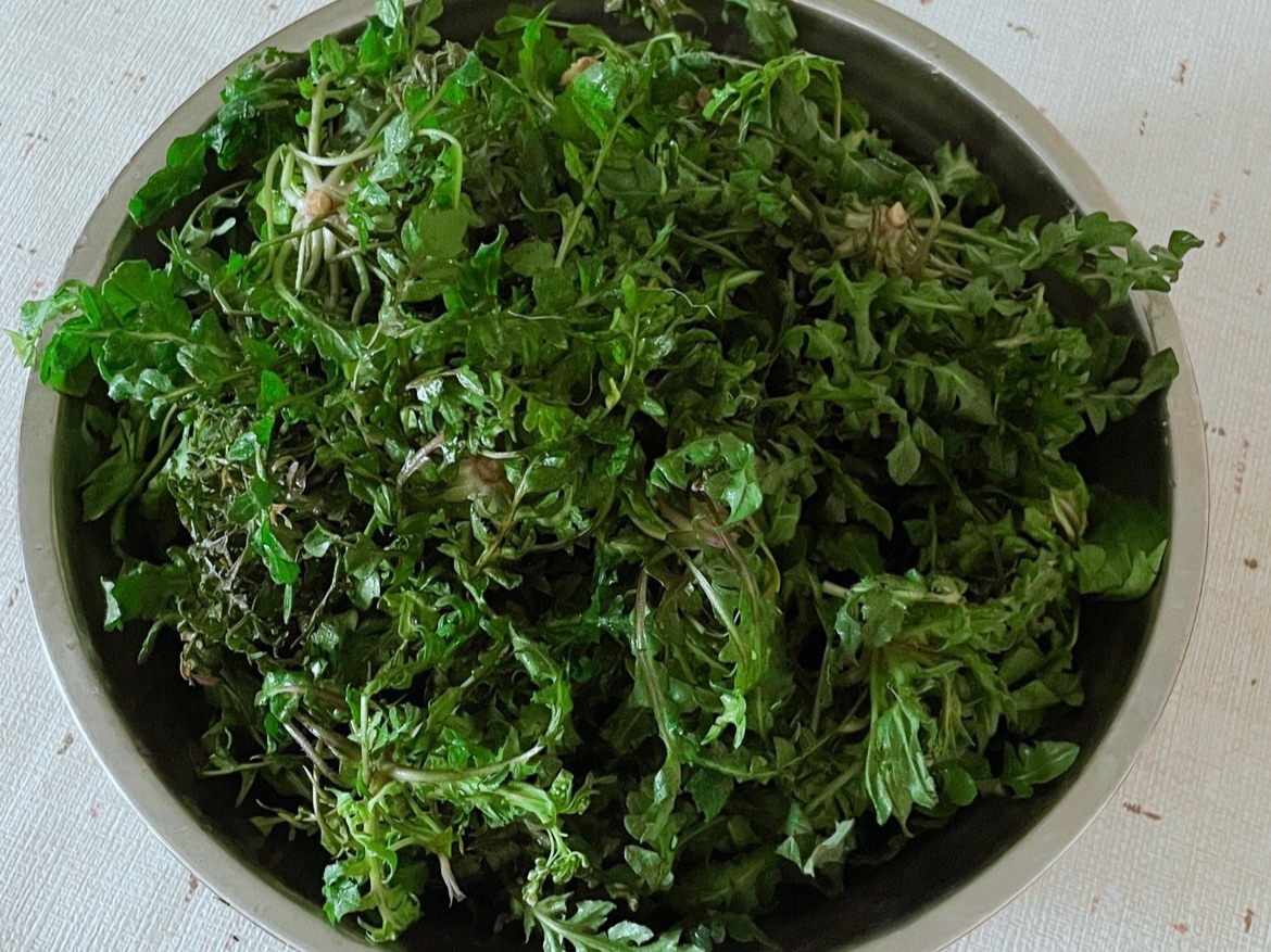 荠菜鸡蛋饼
