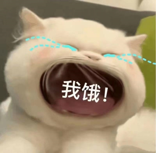 保持饥饿感很重要
