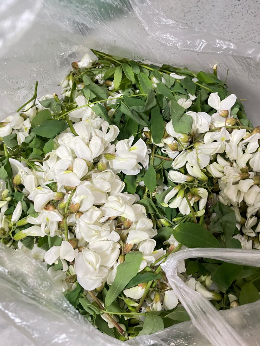 槐树花炒鸡蛋