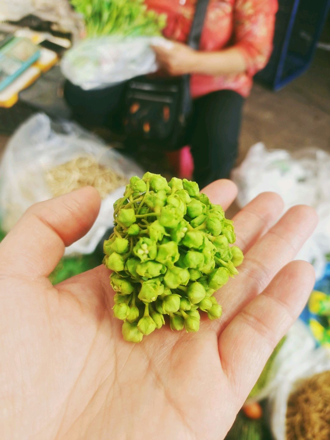 云南百花宴～干椒蒜香苦菜花