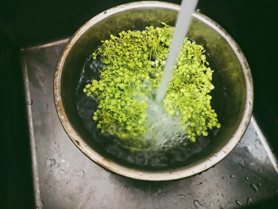云南百花宴～干椒蒜香苦菜花