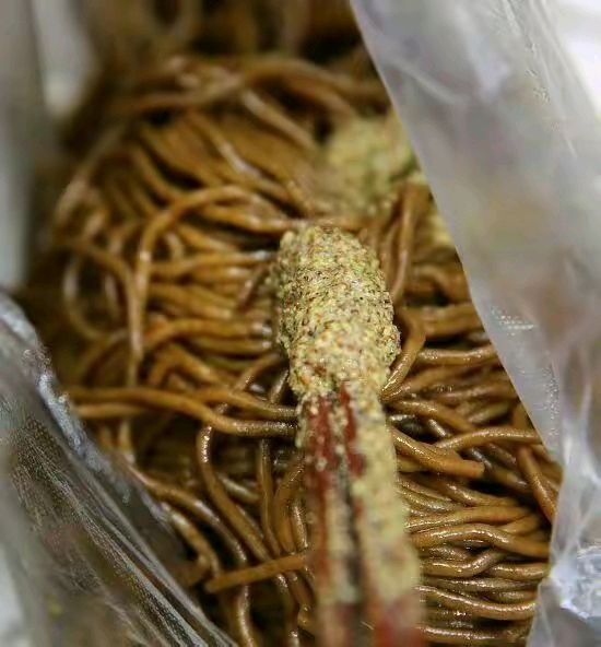 荞面饸饹
