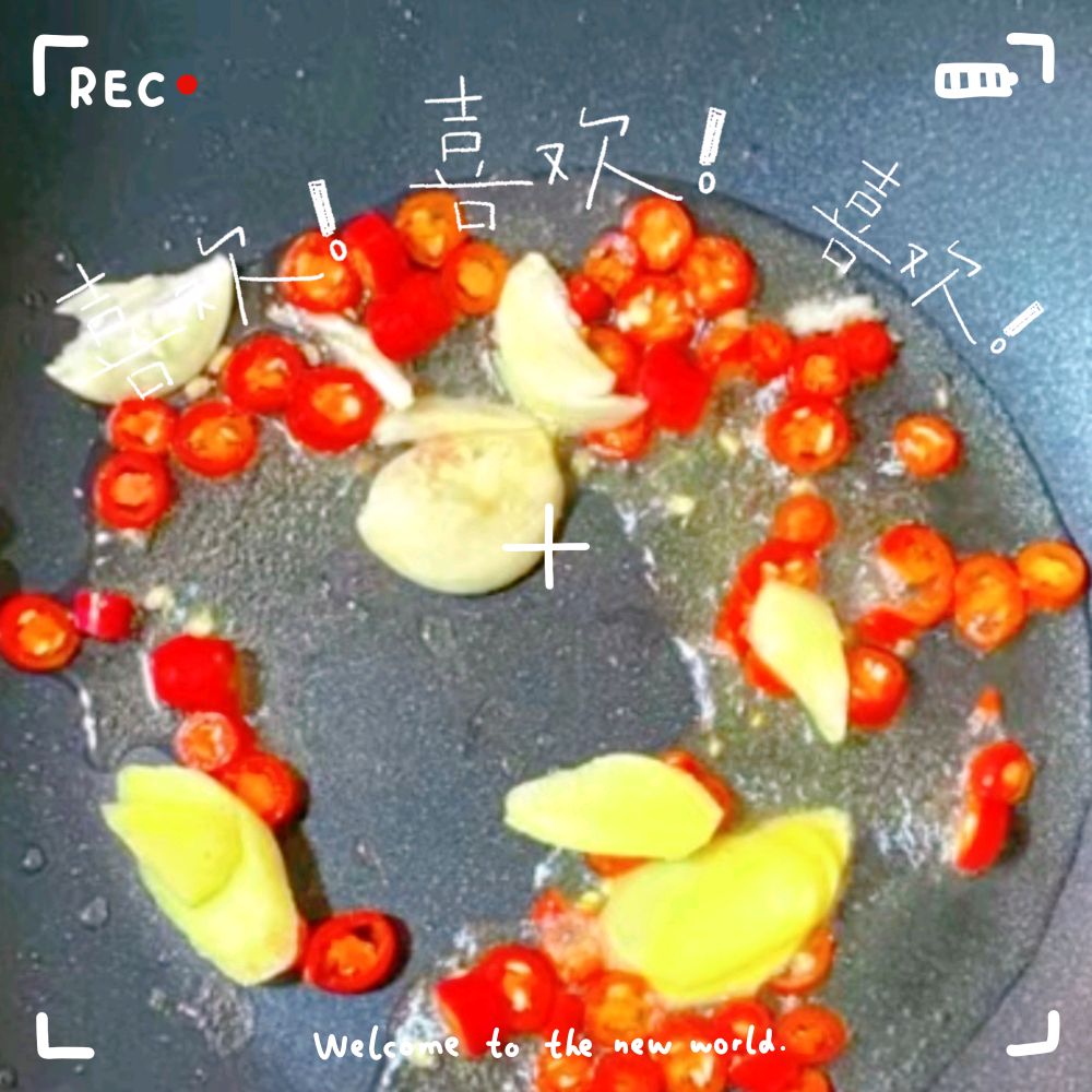 猪肉白菜炖粉条
