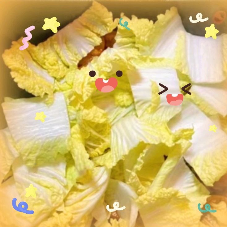 猪肉白菜炖粉条