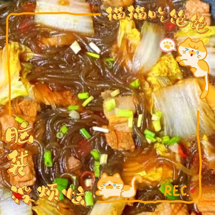 猪肉白菜炖粉条