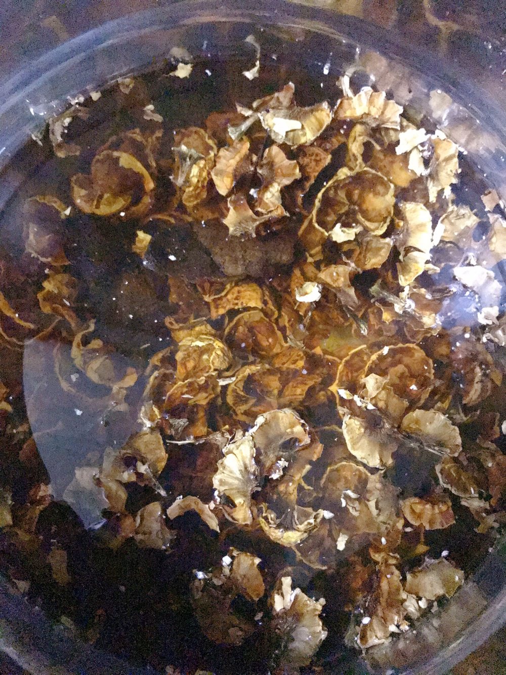 核桃壳立夏蛋