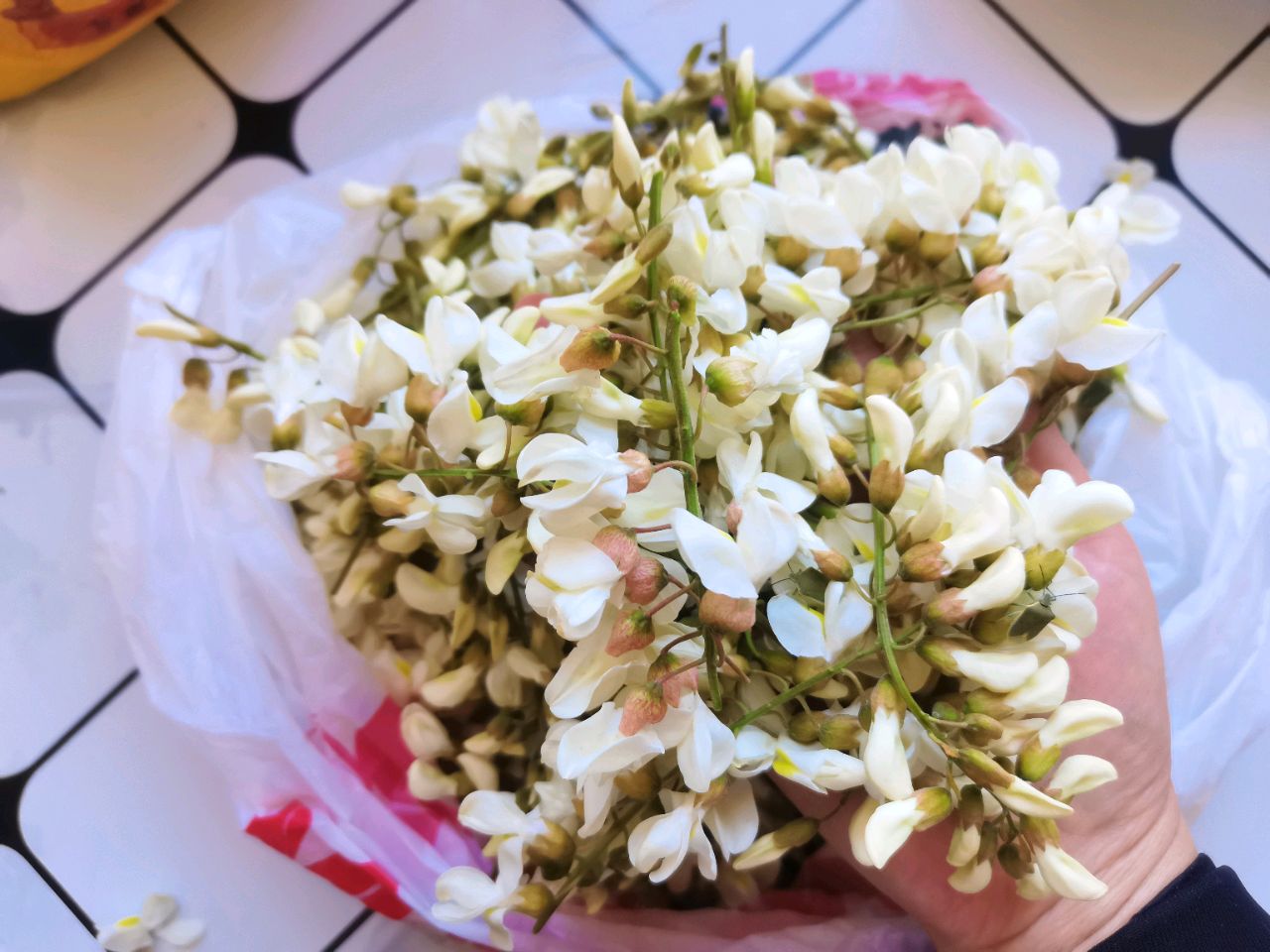 五月槐花香槐花怎么做才好吃？