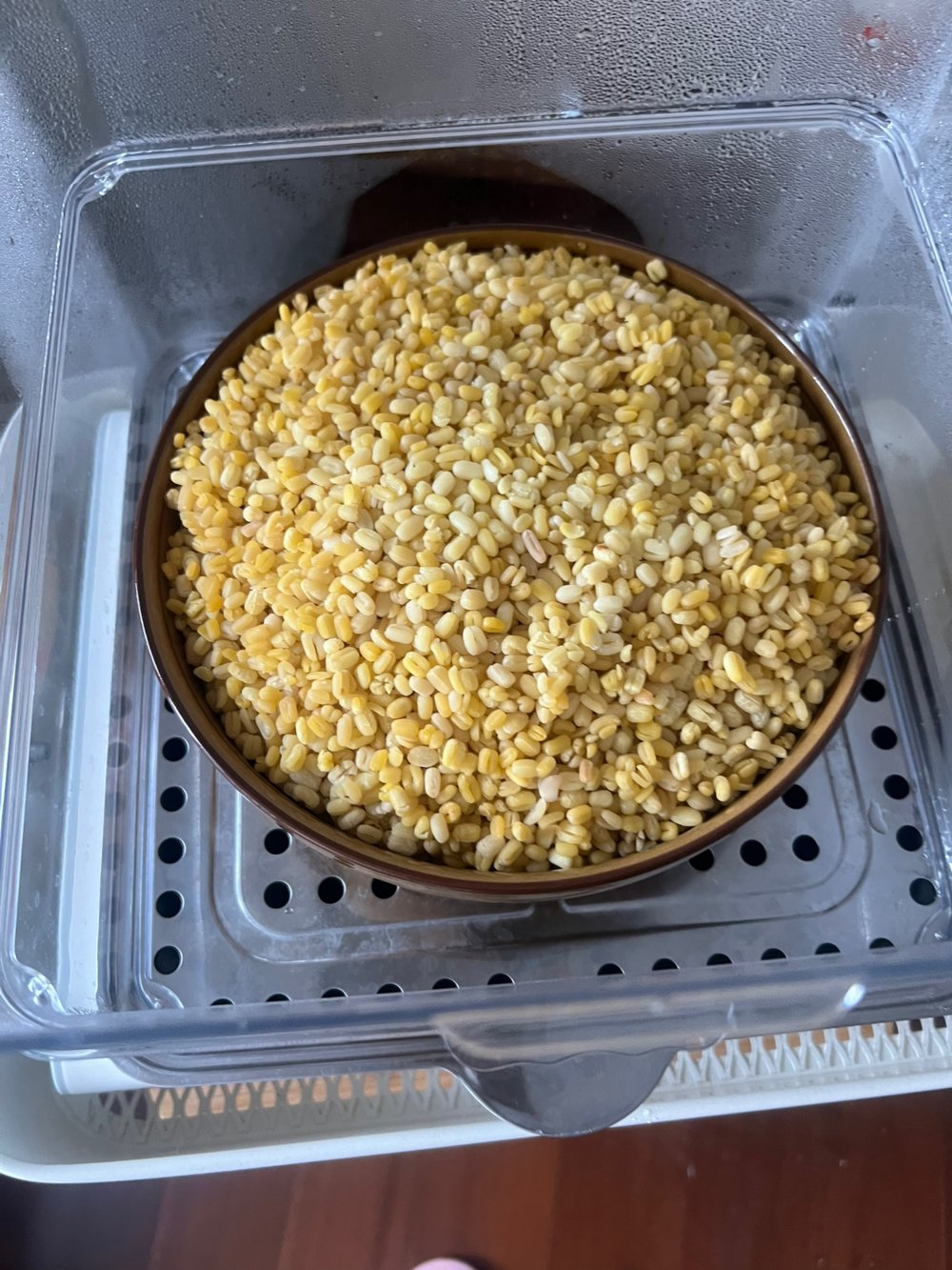 绿豆糕