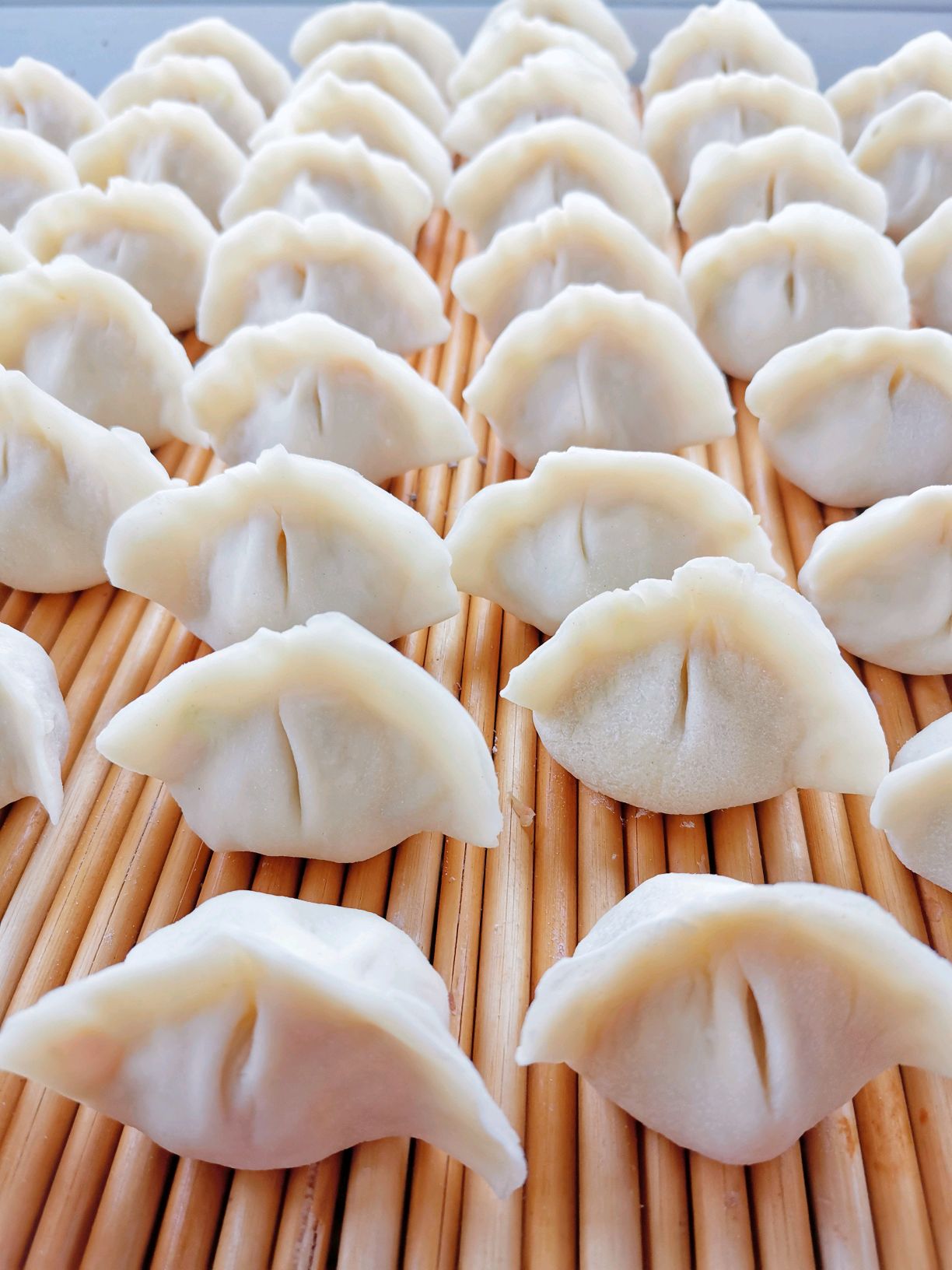 西瓜皮鸡蛋馅饺子